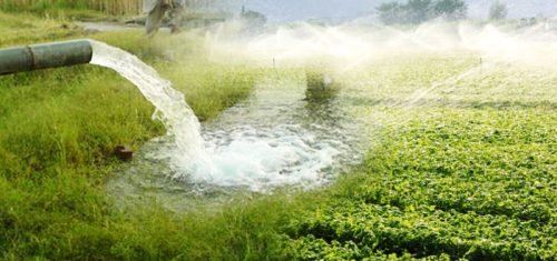 Bore Water